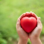 two hands of child holding a red of rubber heart