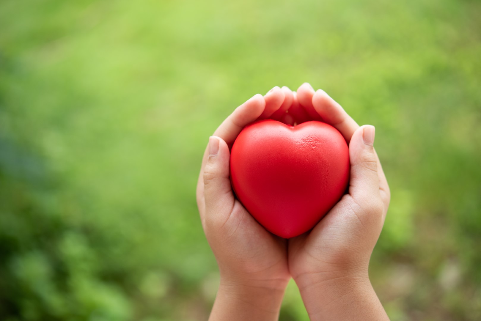 two hands of child holding a red of rubber heart